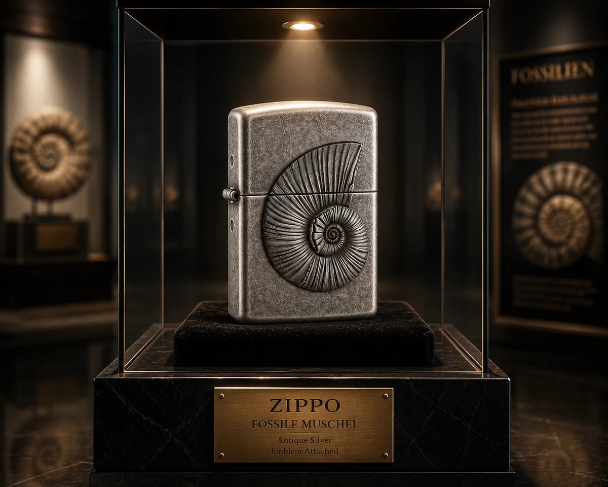 Zippo Feuerzeug Fossile Muschel als hochwertiges Ausstellungsstück in einer Museumsvitrine