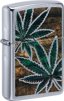 Ein schönes Street Chrome Zippo Benzinfeuerzeug, im Zentrum die naturbelassenen Cannabis Pflanzen. Ein tolles Color Image.